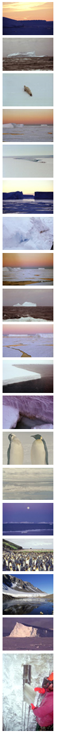 Formation of the Terra Nova Bay polynya and climatic implications