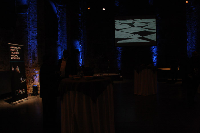 IMG2 (4)