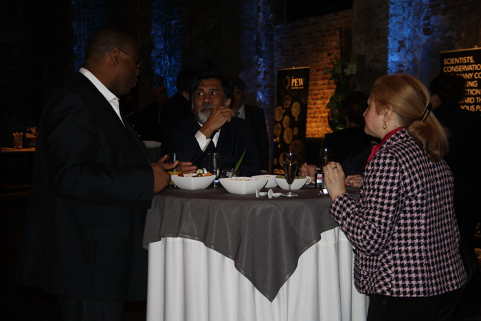IMG2 (8)