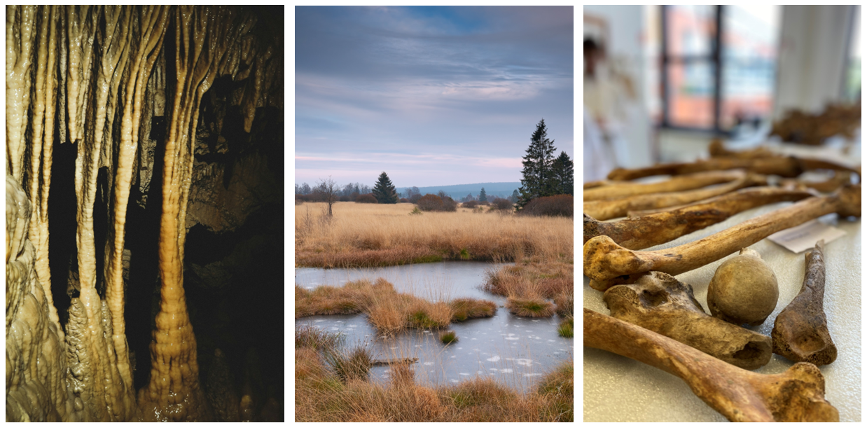 1. Contextes belges analysés dans le projet LEAP : (à gauche) spéléothèmes dans les grottes de Han ; (au milieu) marécages de tourbières dans les Hautes Fagnes ; (à droite) restes humains provenant du bassin de la Meuse